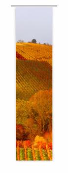 Flächenvorhang Das Rebenmeer, Schiebevorhang, Schiebegardine, modern, 60 cm breit, 2,